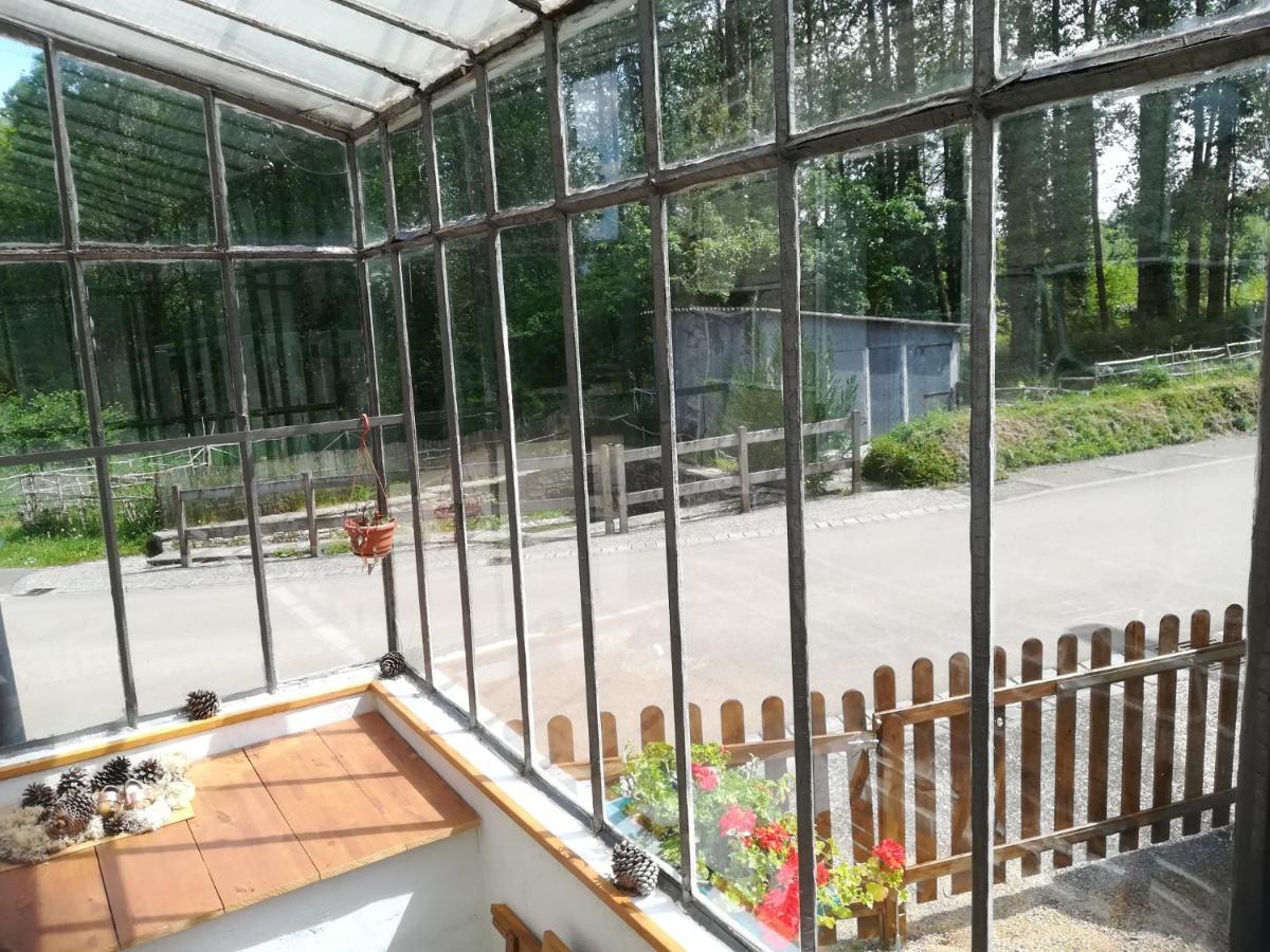 Petit Gite Cocoon Ty Bihan Ar Feunteun Scrignac Exteriör bild